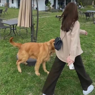 飙舞追梦